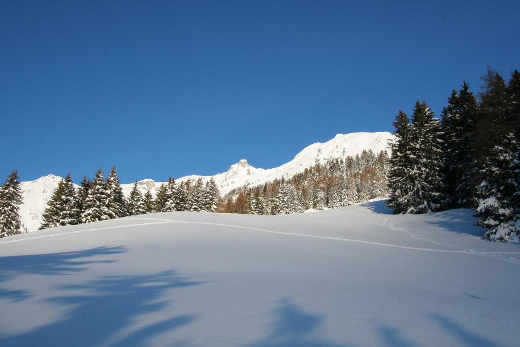 Haus Mattle Apartment Pettneu am Arlberg Exterior foto
